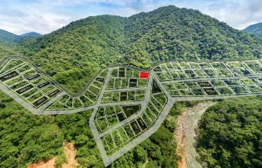 Jungle Lots with Ocean View