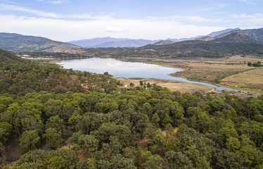 One Hectare Lot with Lake Views